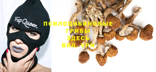 spice Балабаново