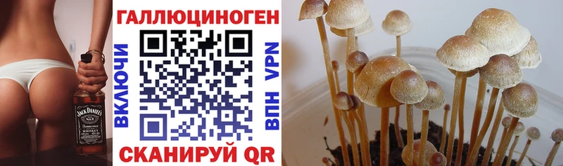 Галлюциногенные грибы мицелий МЕГА зеркало Гаврилов Посад